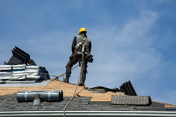Professional Roof Replacement technician working in Fertile, MN